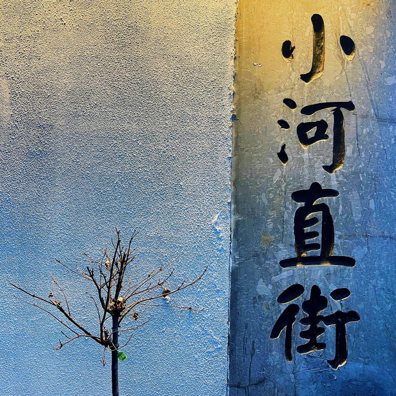 life_photo_1