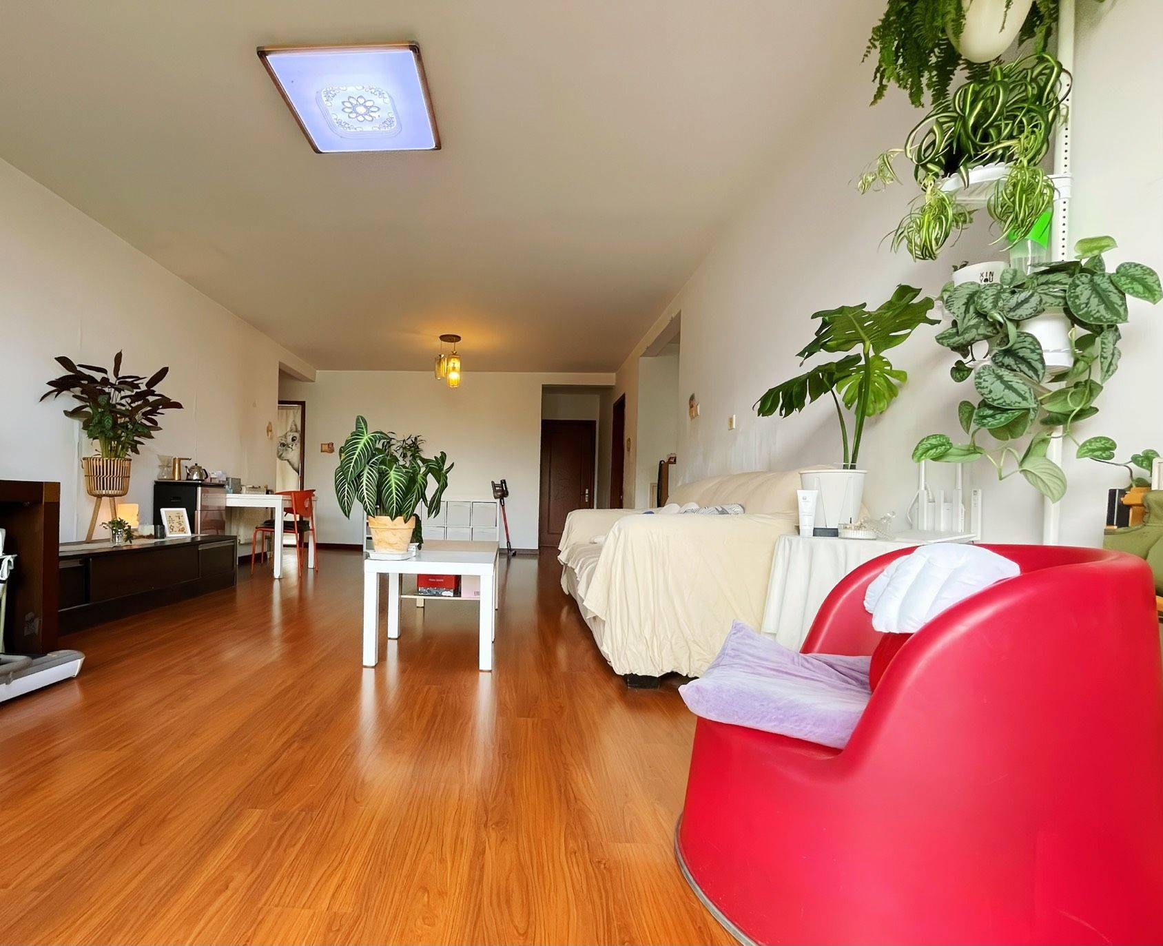 Beijing-Daxing-Cozy Home,Clean&Comfy,No Gender Limit,Hustle & Bustle,“Friends”,Chilled,LGBTQ Friendly,Pet Friendly