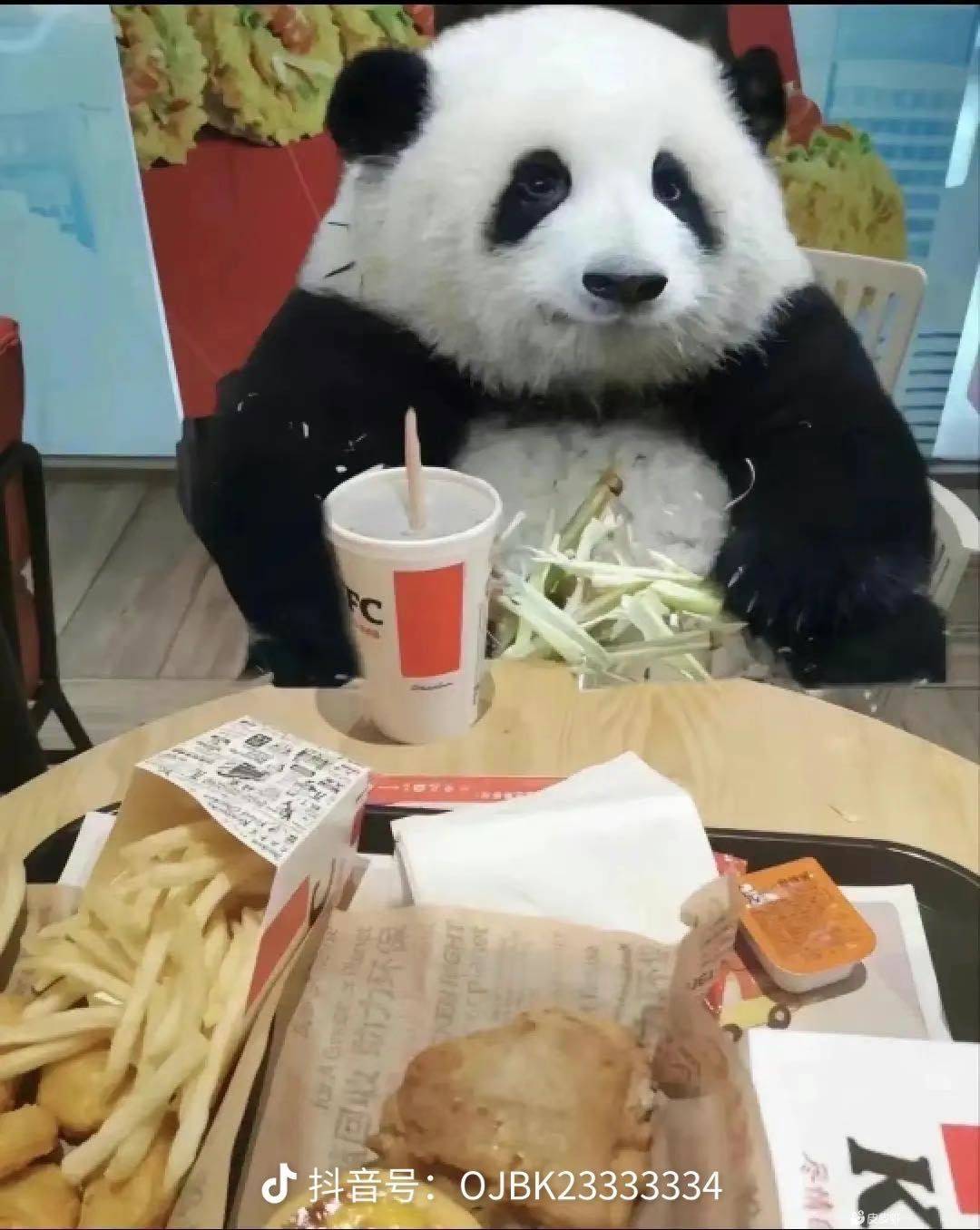溜溜