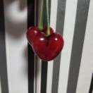 个人出租静待佳音