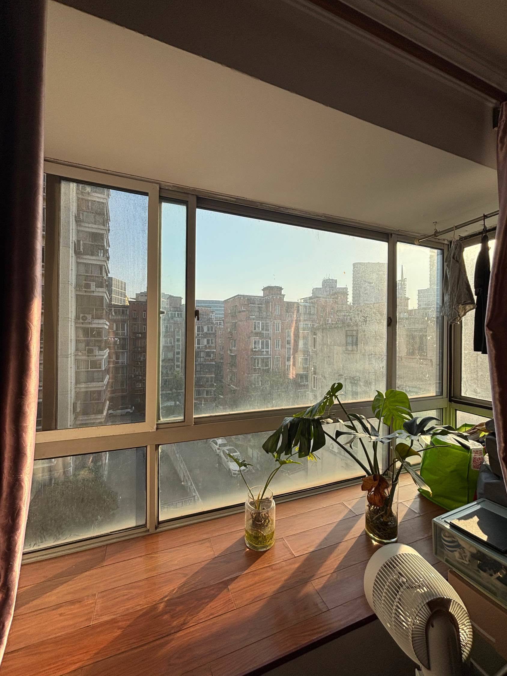 Shanghai-Jing‘An-Cozy Home,Clean&Comfy,No Gender Limit,Chilled