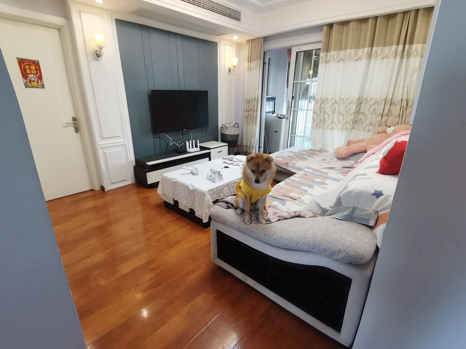 Wuhan-Hongshan-可押一付一,整租一室一厅一厨一卫,Cozy Home