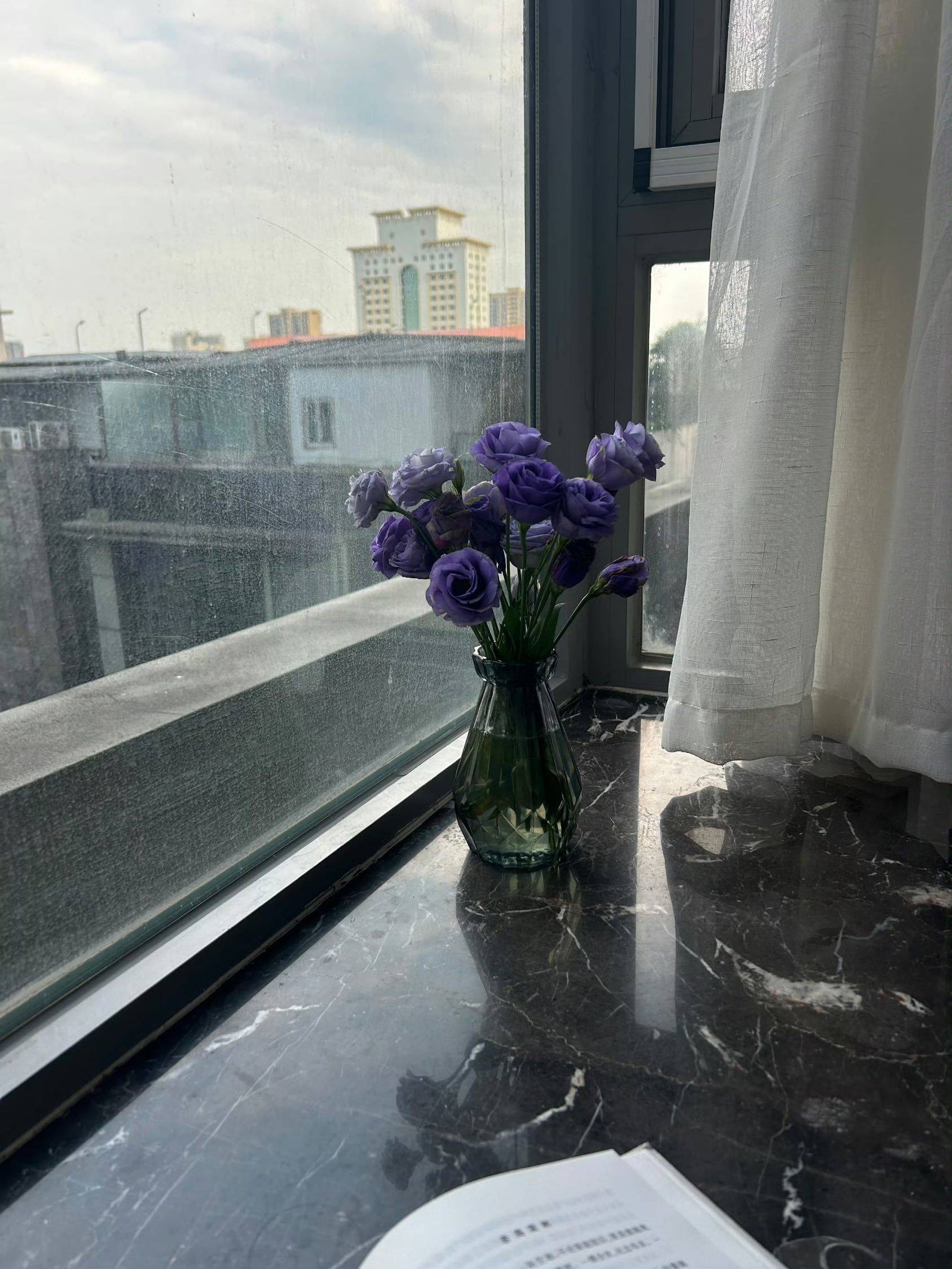 Chengdu-Qingyang-Pet Friendly