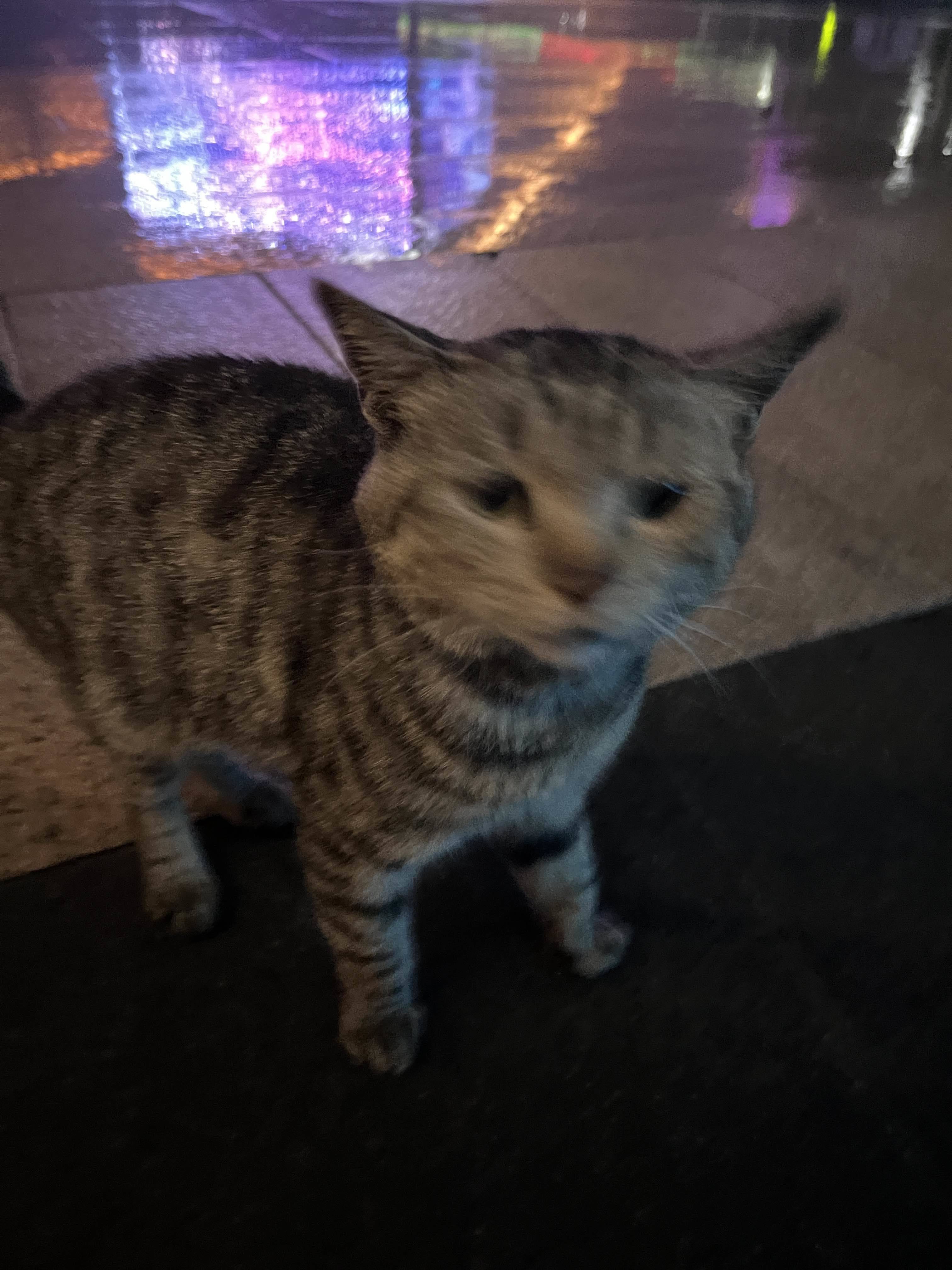 塔 