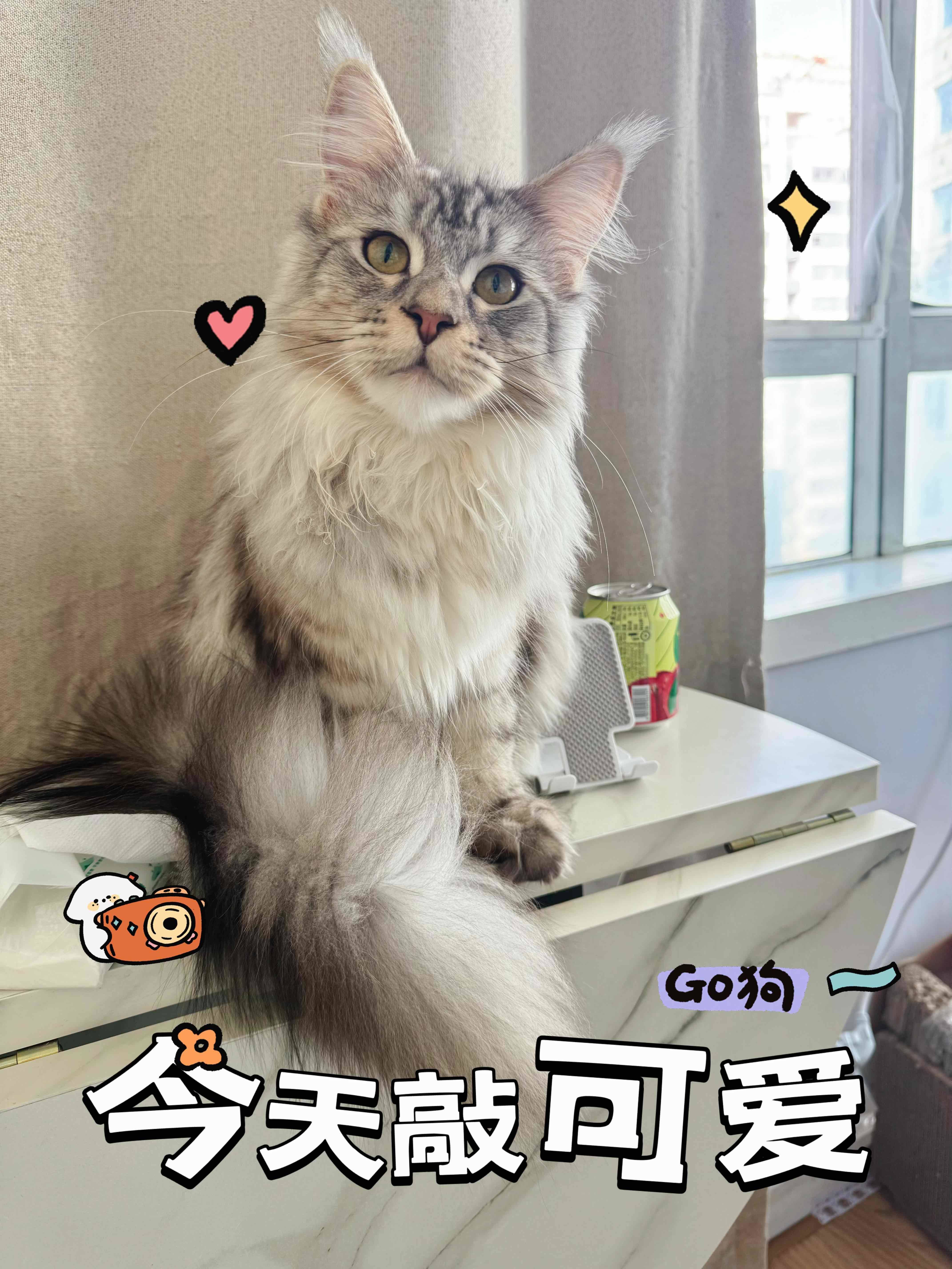 冰