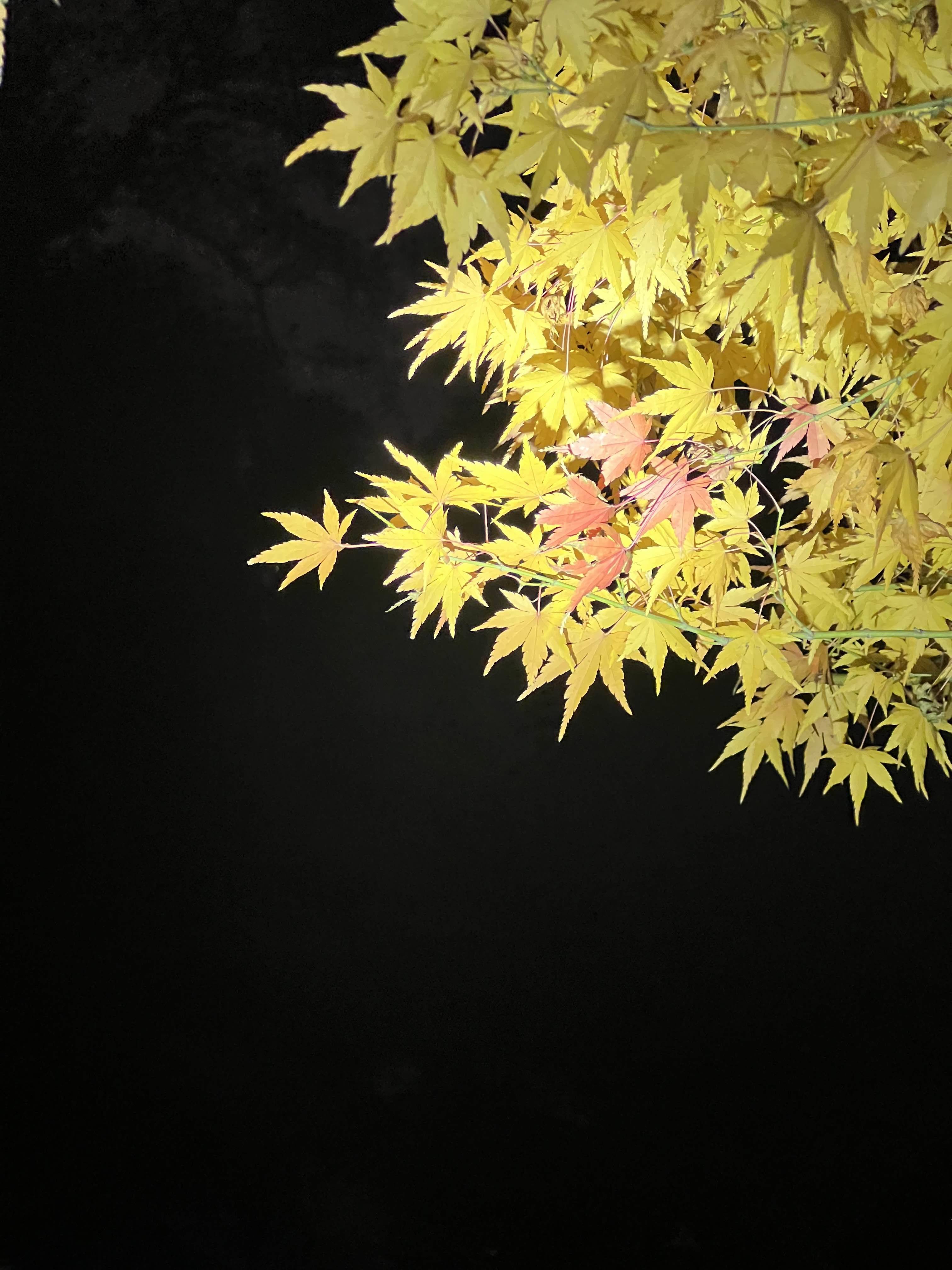 懂滴珍惜