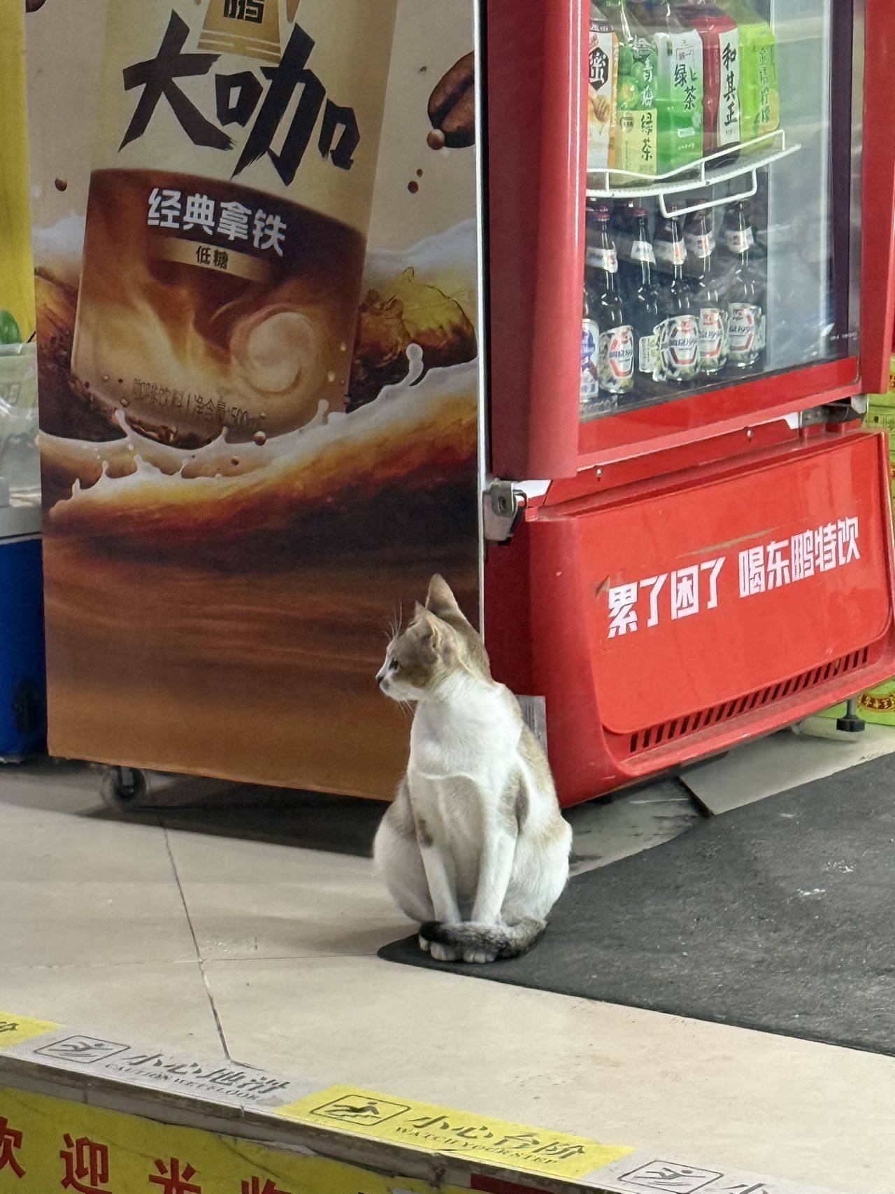 伊伊