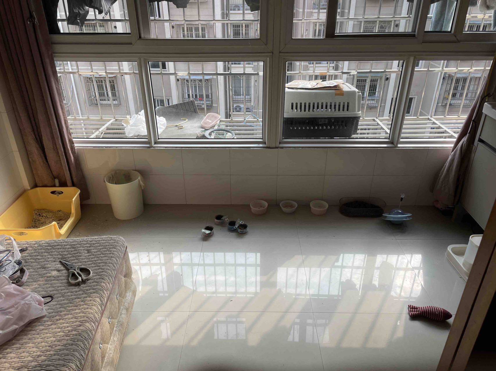 Ningbo-Yinzhou-Cozy Home,Clean&Comfy,No Gender Limit
