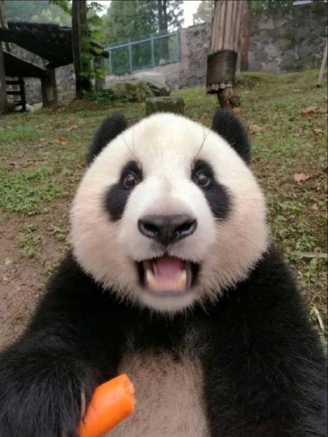 清晨