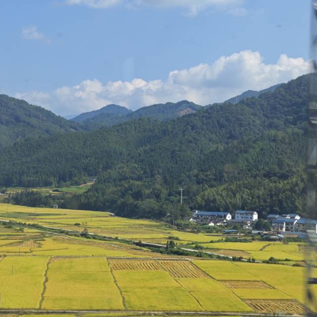 钮钴禄朱