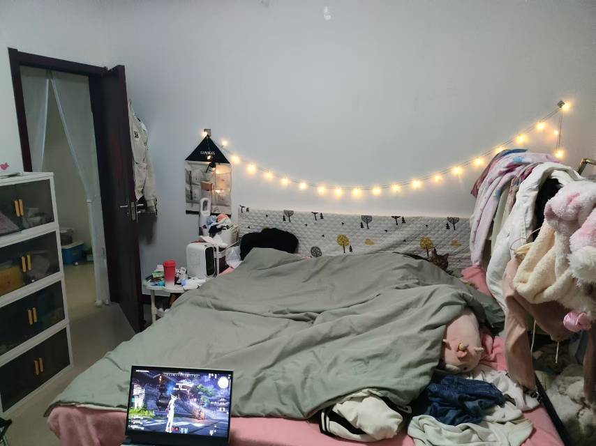 露亞整租房源1