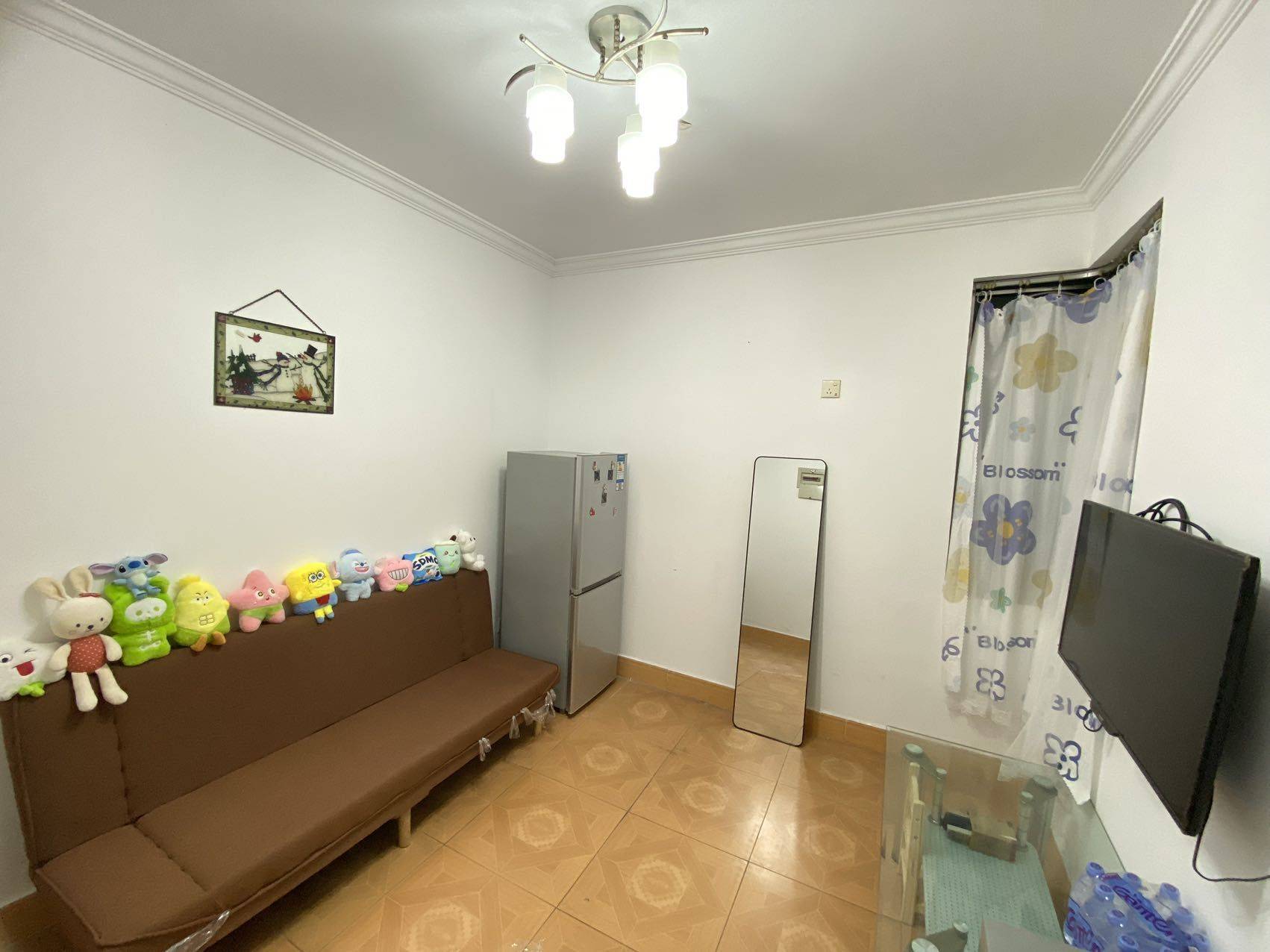 深圳-龙岗-温馨小窝,干净治愈,不限性别