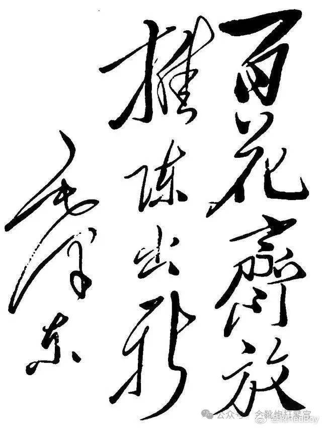 猫猫兔