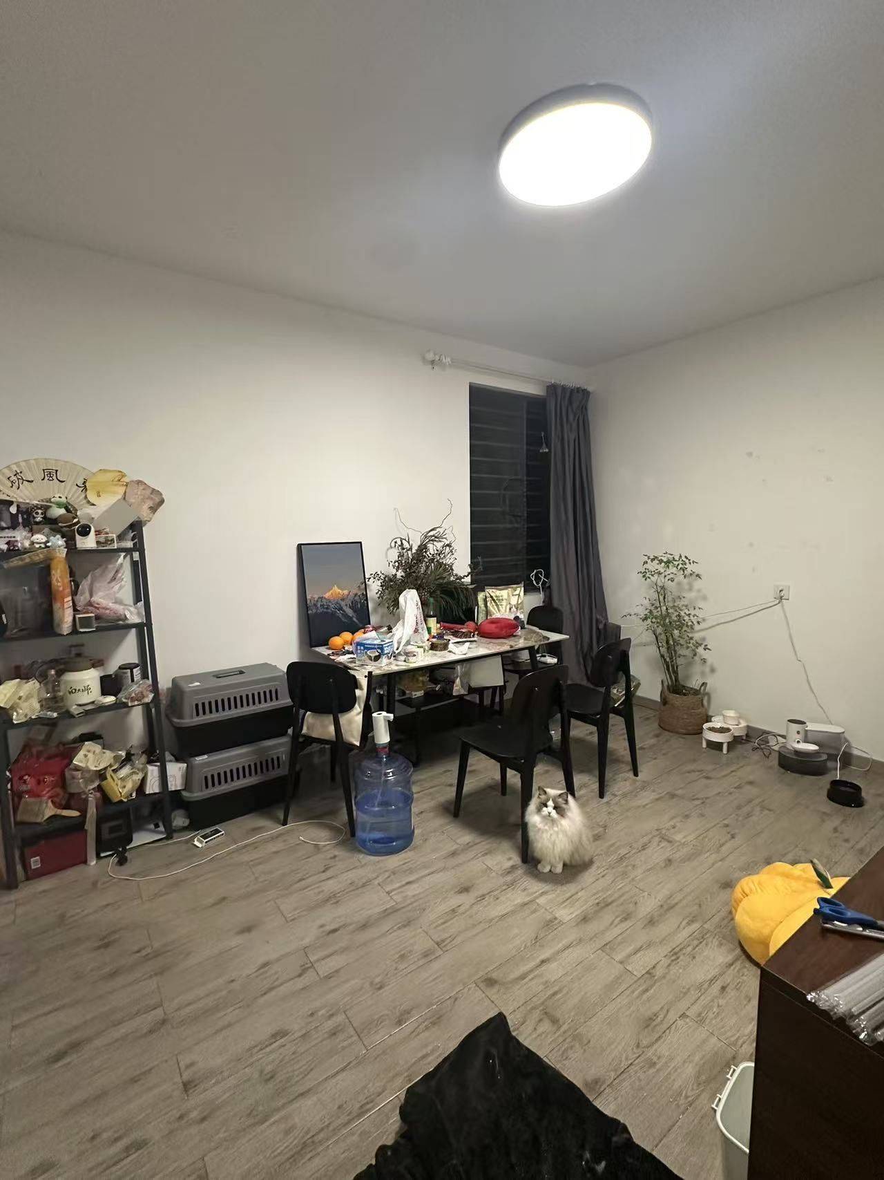 Hangzhou-Shangcheng-Cozy Home,Clean&Comfy,No Gender Limit,Hustle & Bustle,Chilled