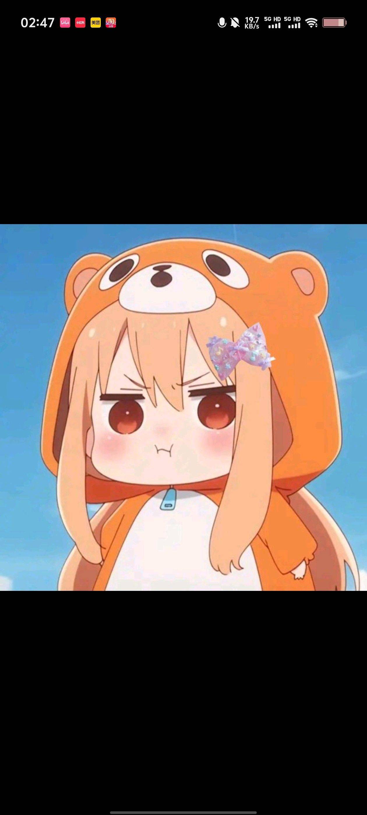 呆萌