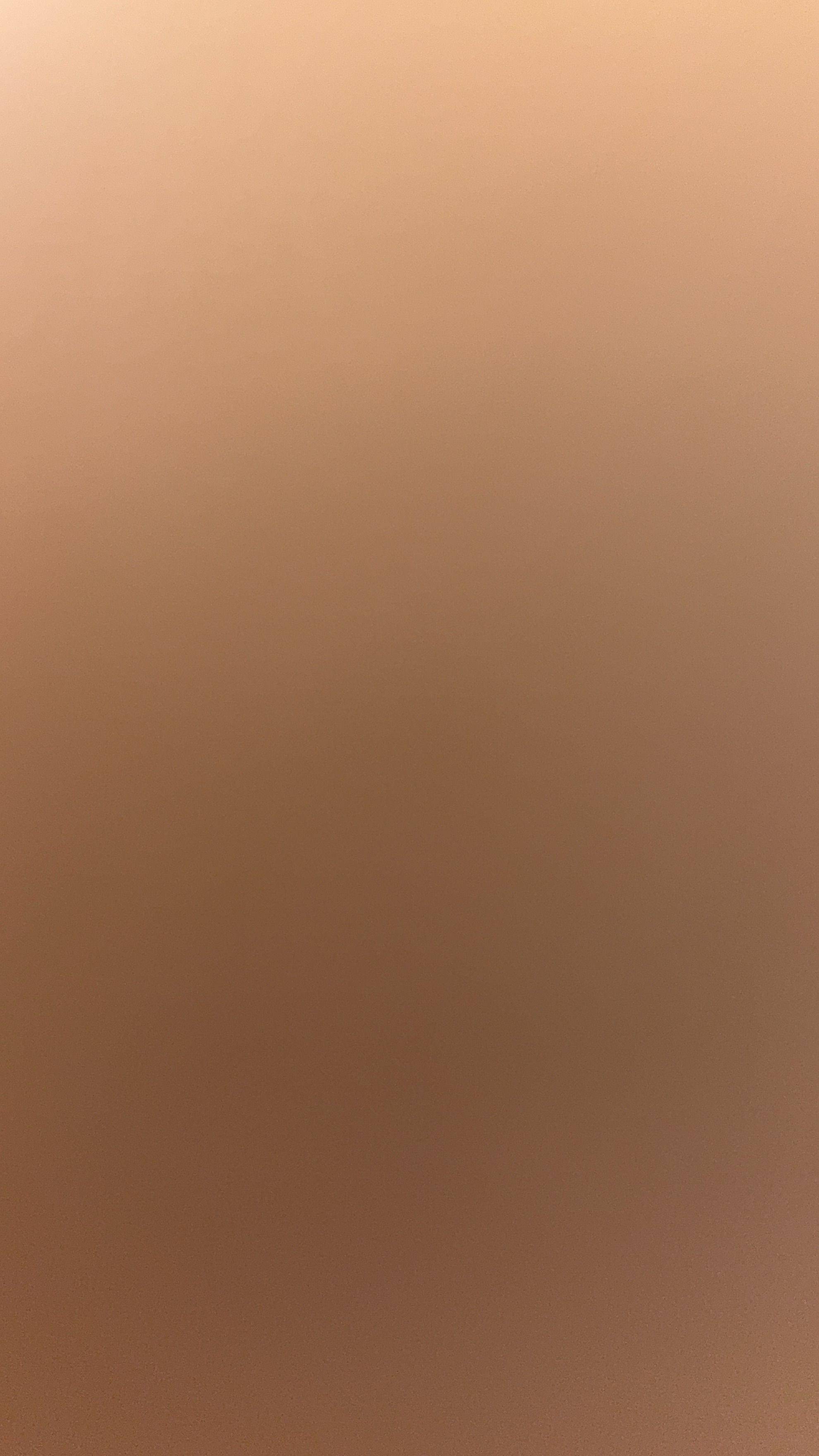 风中fvn