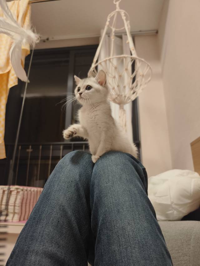 姚发财