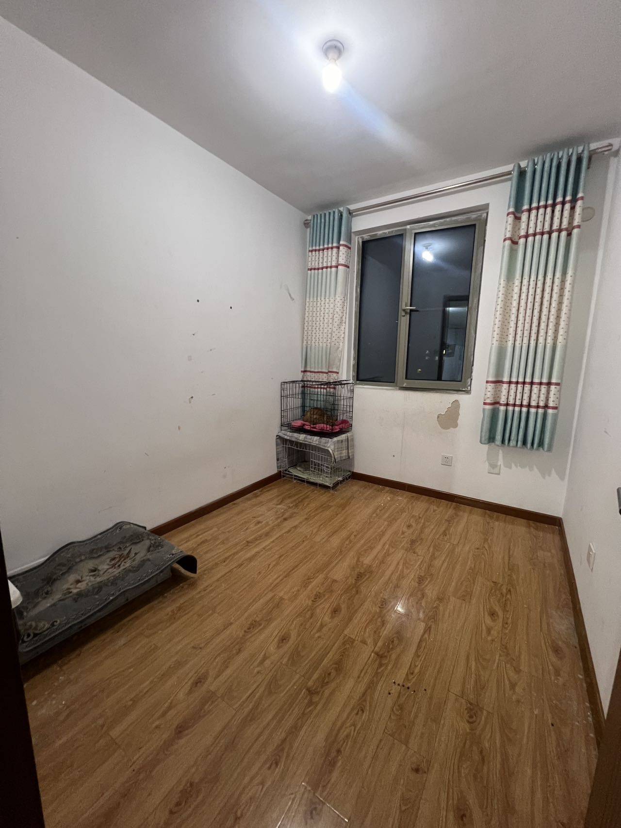 Tianjin-Wuqing-Cozy Home,Clean&Comfy,No Gender Limit,Pet Friendly