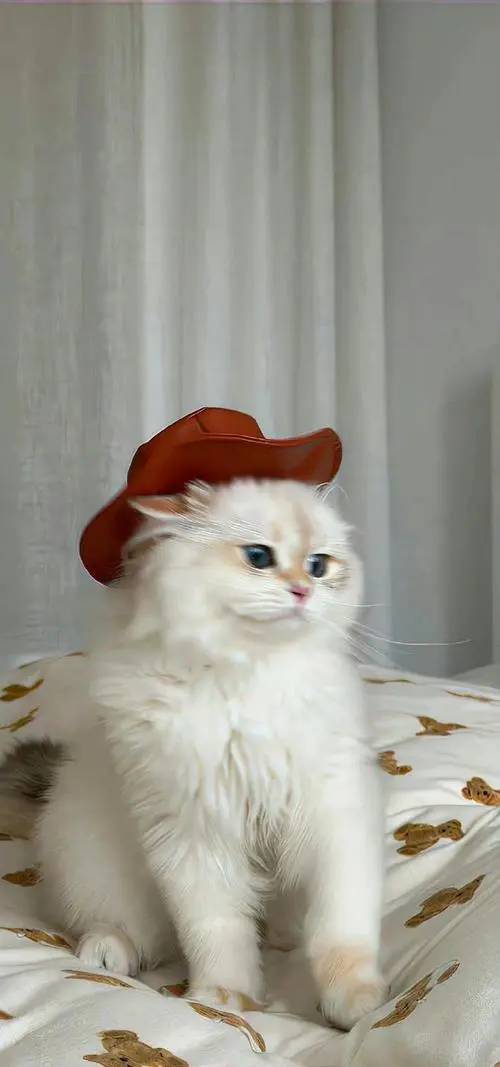 eeeᐝ