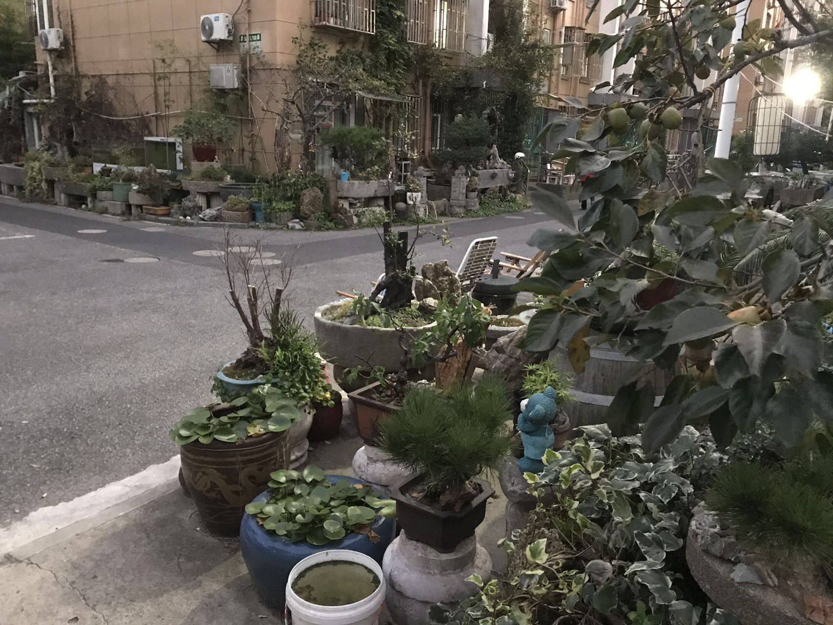 Shanghai-Pudong-Cozy Home,Clean&Comfy,“Friends”,Chilled,Pet Friendly