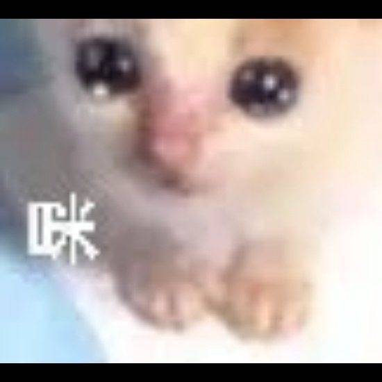 来个人租我房子吧