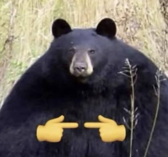 个人转租