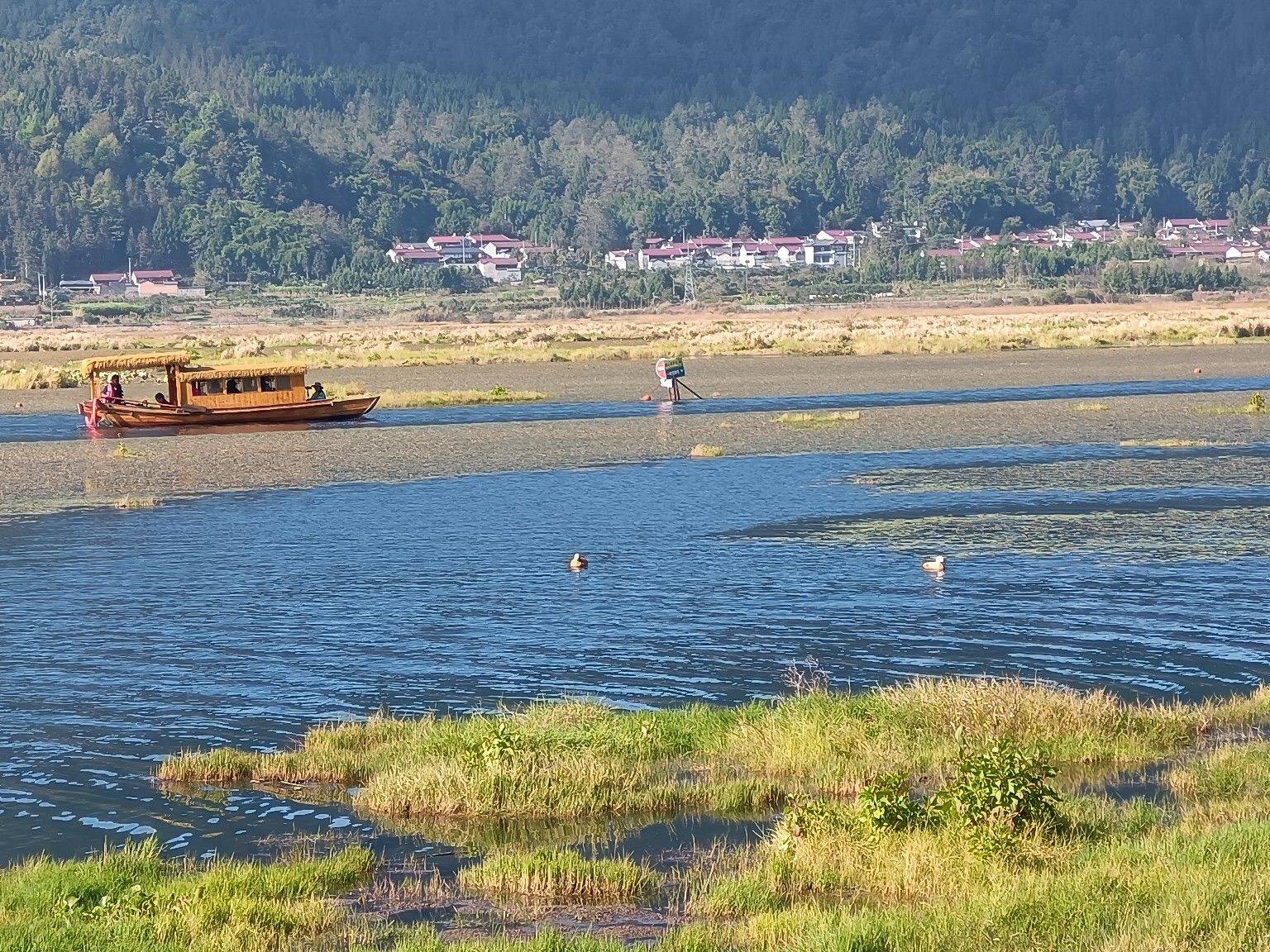 金财宝
