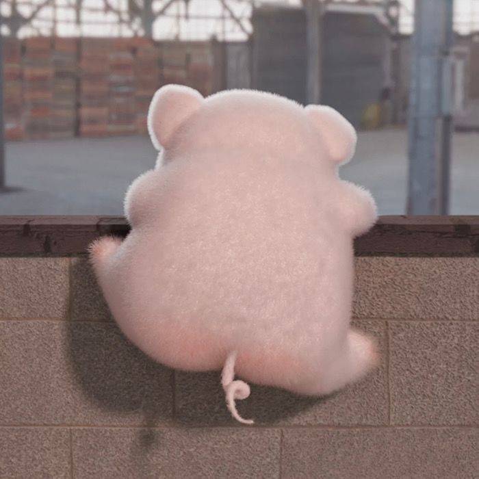 凤