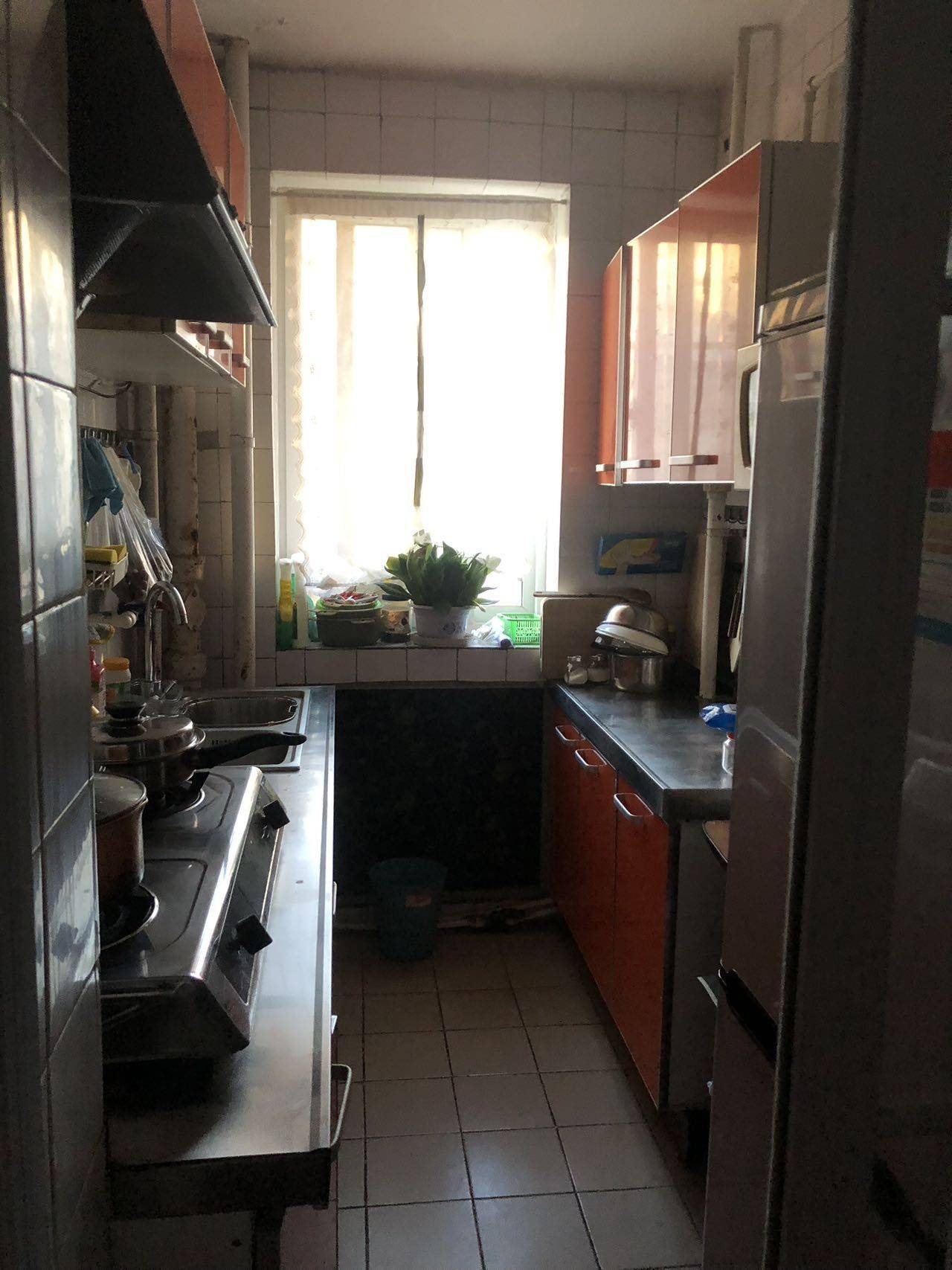 北京-朝阳-温馨小窝,干净治愈,宠物友好