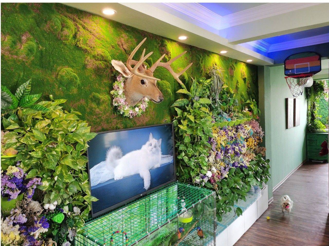 Shanghai-Putuo-Cozy Home,Clean&Comfy,No Gender Limit,Pet Friendly