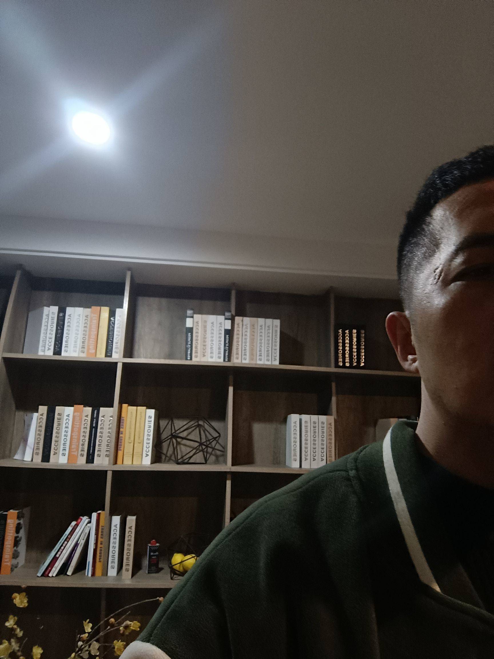 鱼雷菌