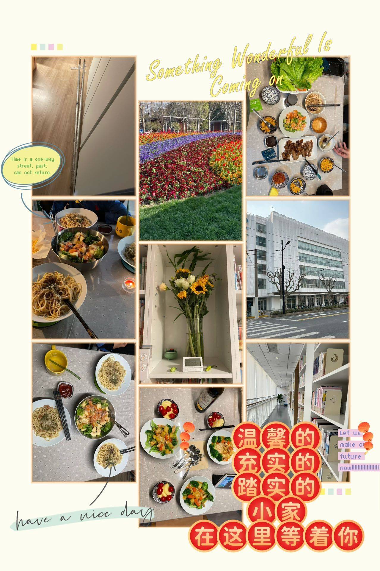 Shanghai-Jing‘An-Cozy Home,Clean&Comfy,No Gender Limit,LGBTQ Friendly,Pet Friendly