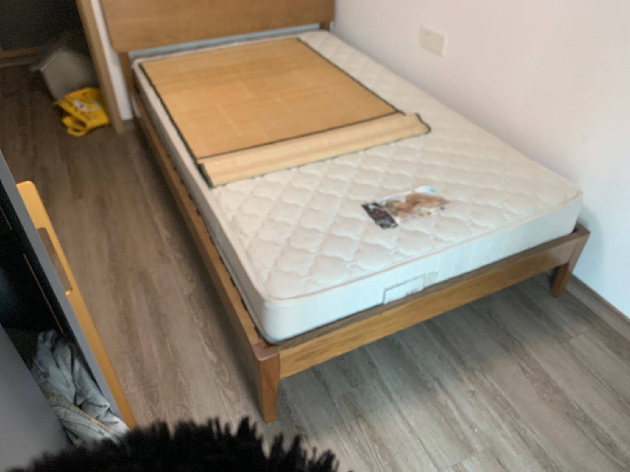 石碣 卓越·弥敦道