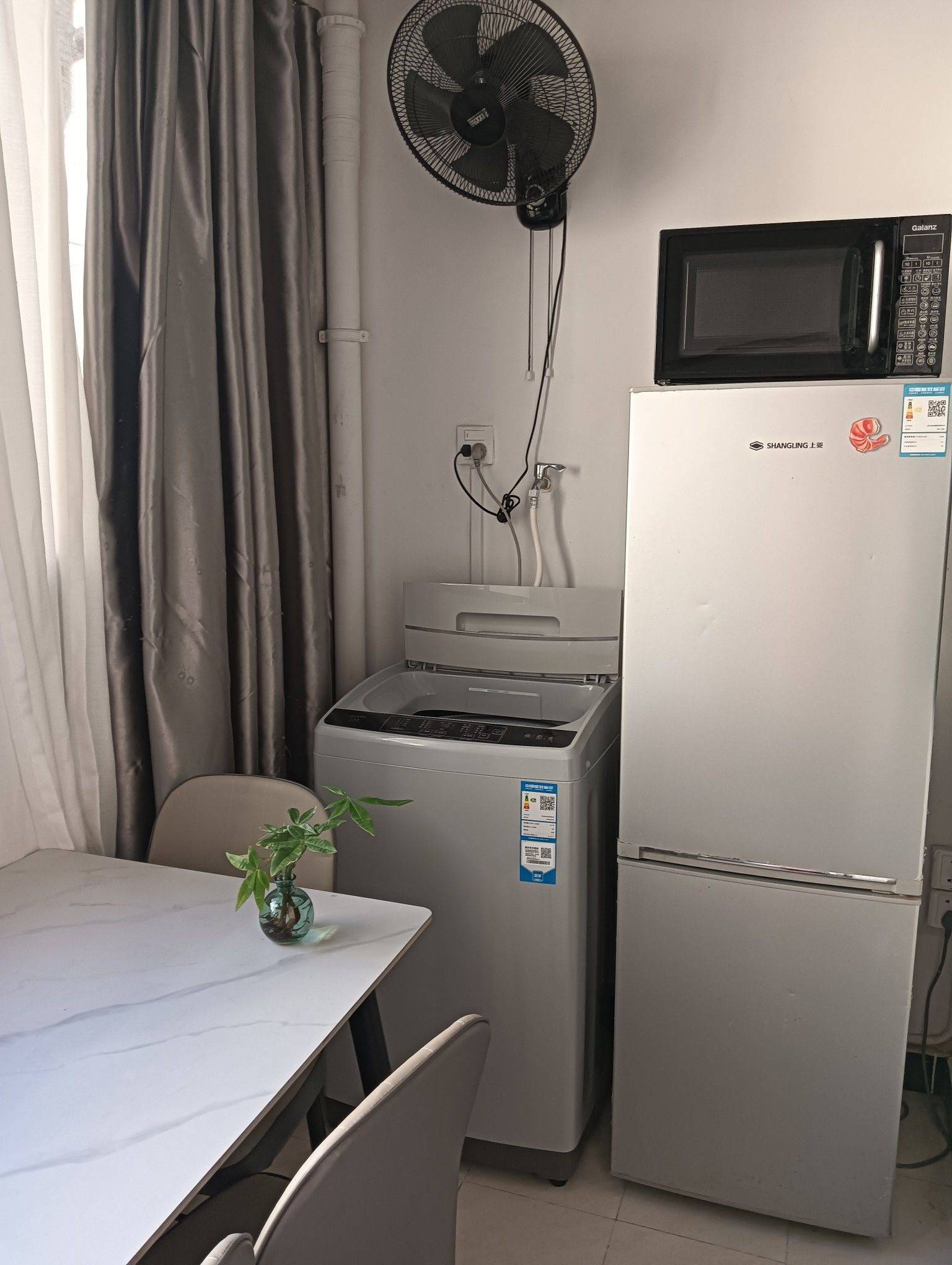 Shanghai-Changning-Pet Friendly