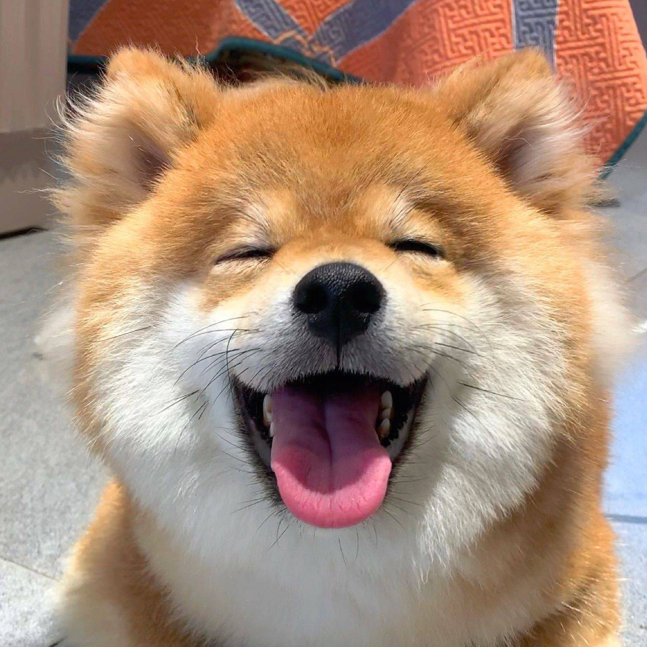 晨