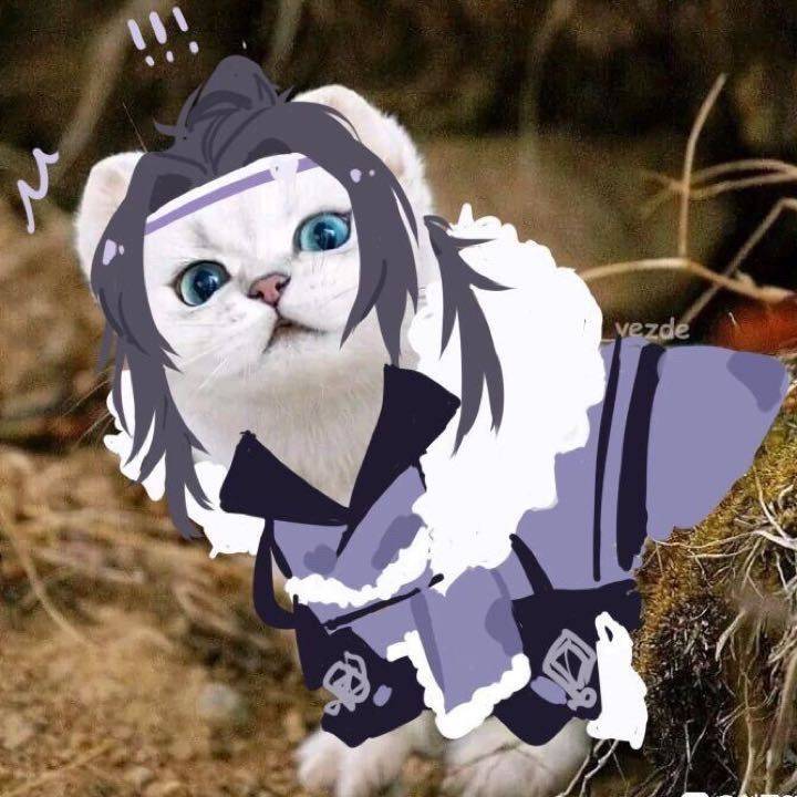 鹤初