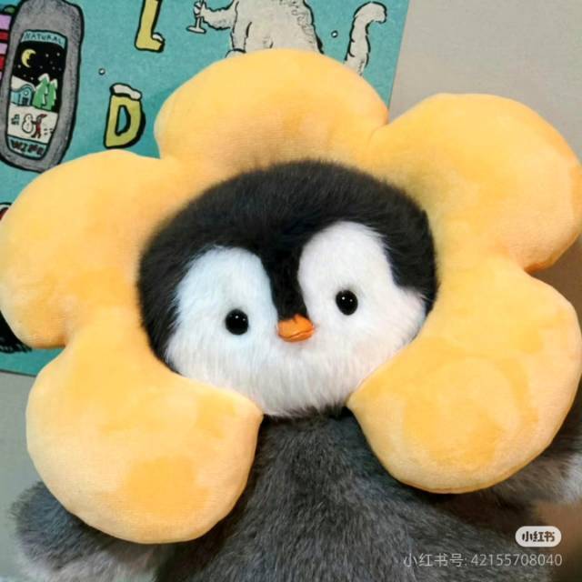 奕菡