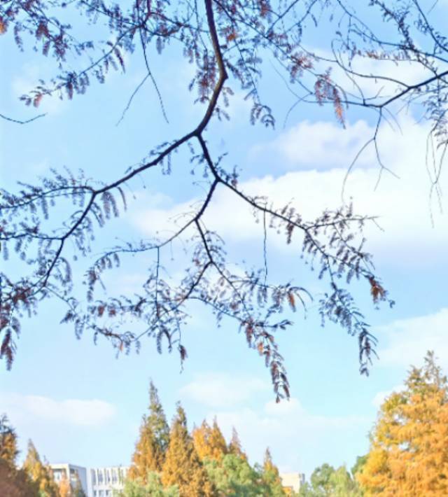 is