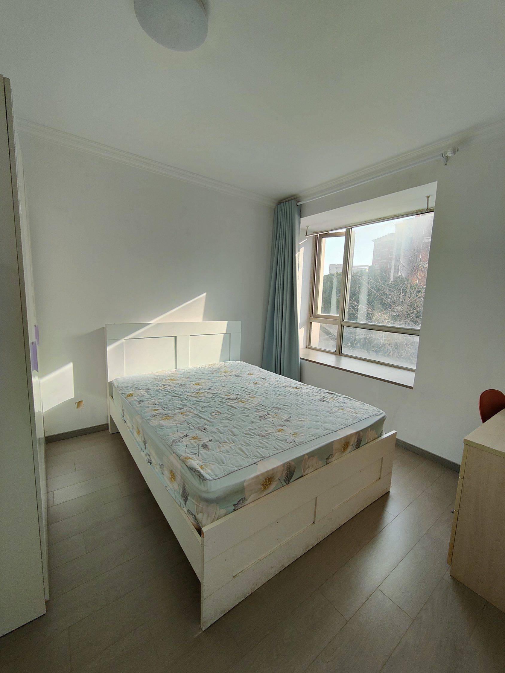 Shanghai-Pudong-Cozy Home,Clean&Comfy,No Gender Limit,Pet Friendly