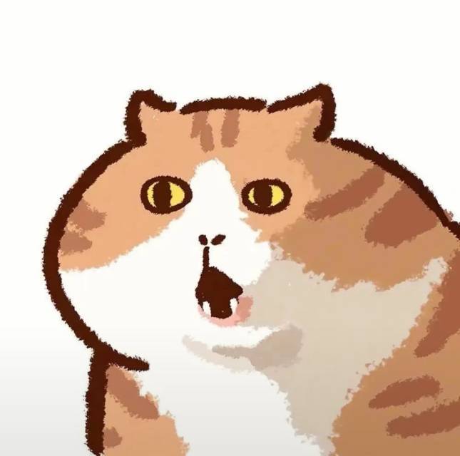 pp猪