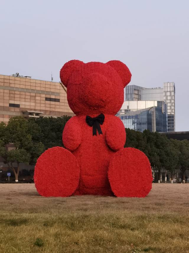 李子酸不酸