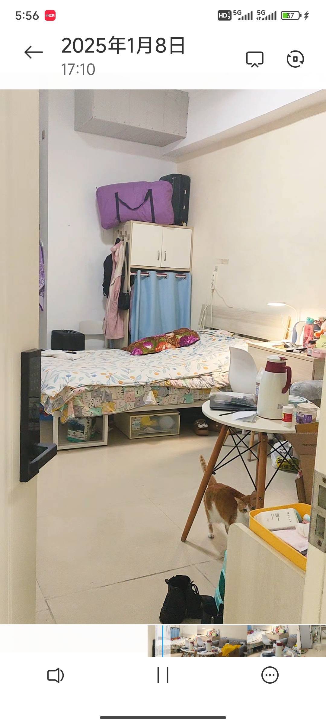 Shenzhen-BaoAn-Cozy Home,Clean&Comfy,No Gender Limit