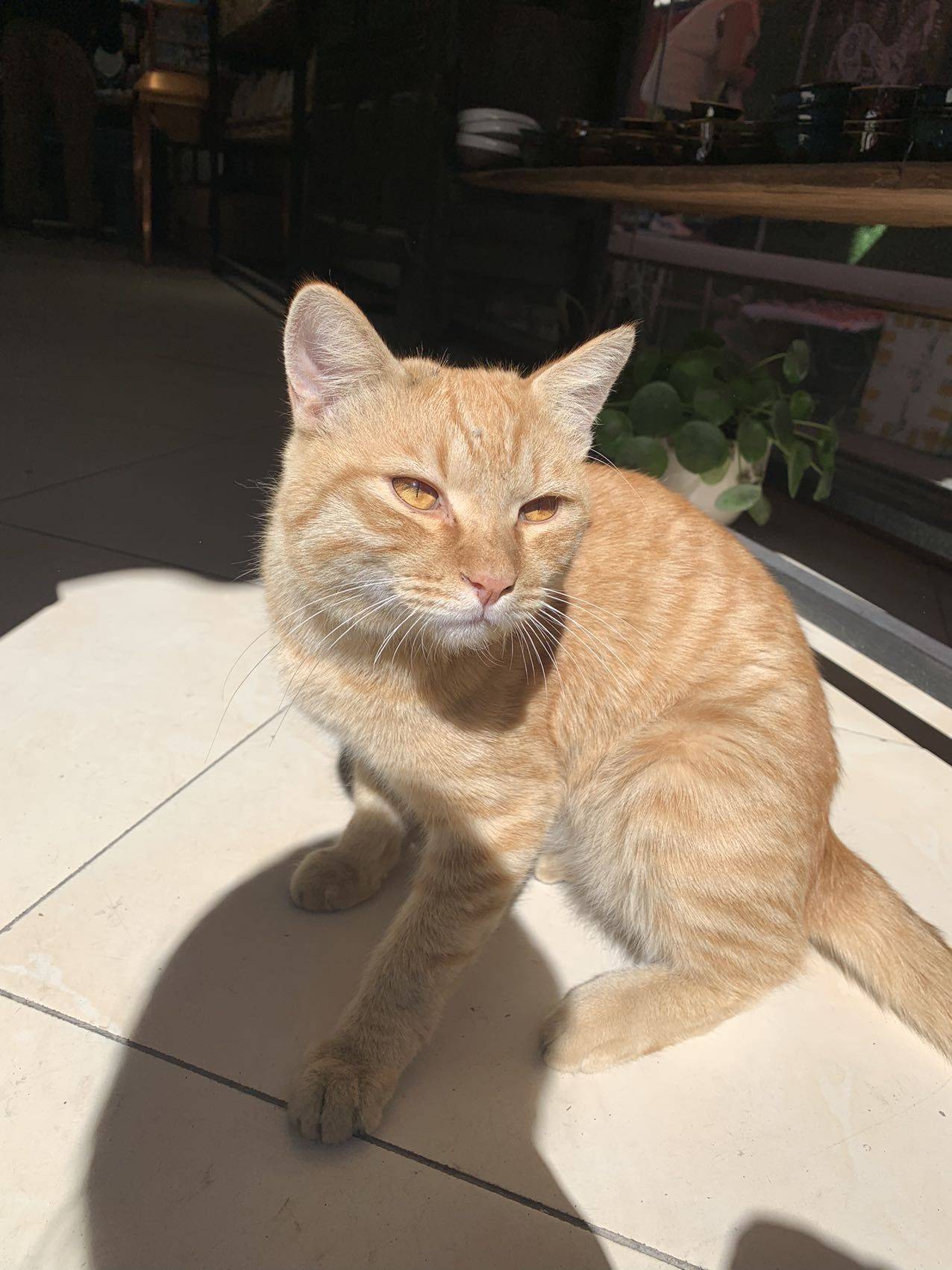 宝山刘行个人转租