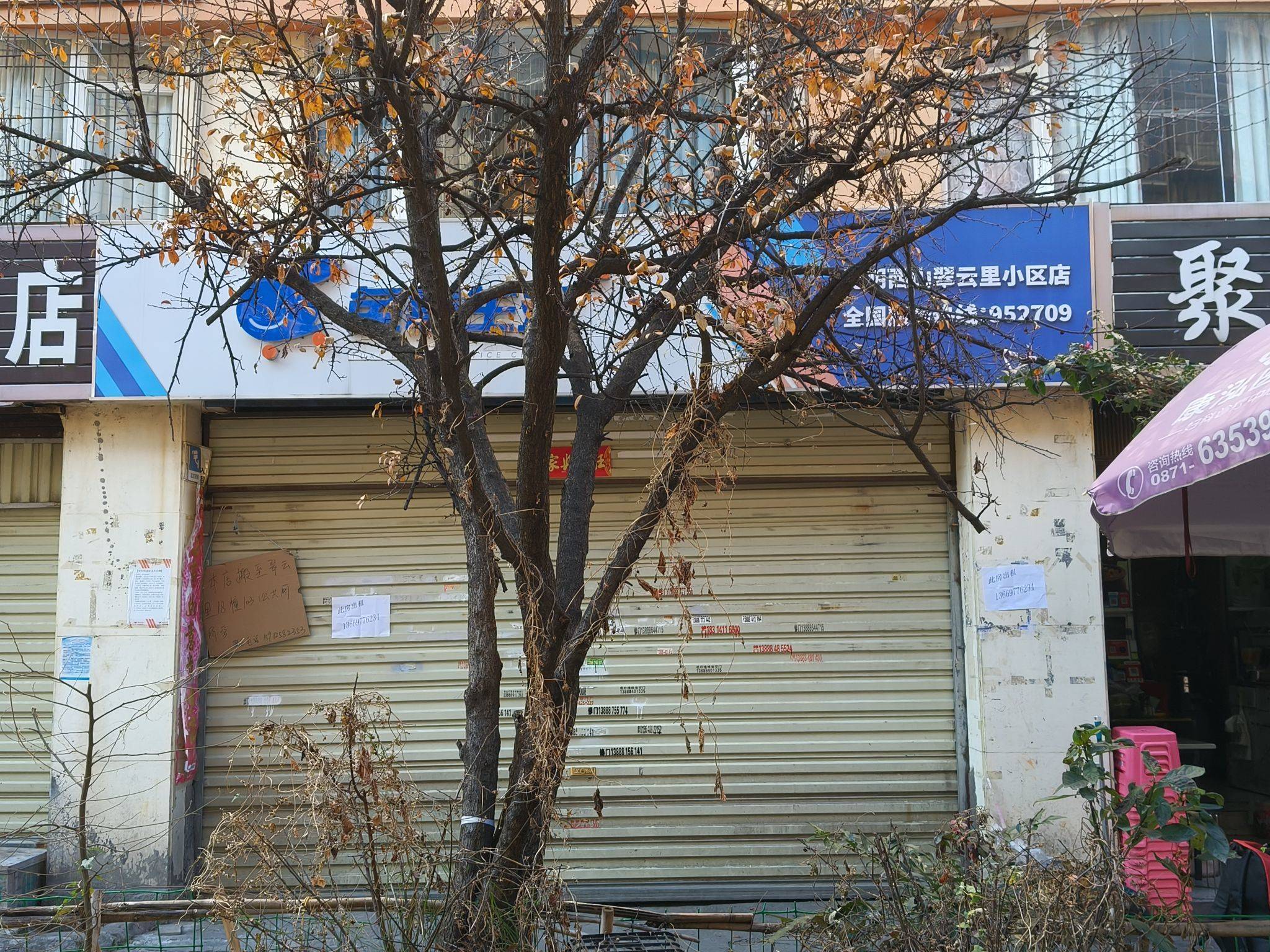 景秀茗香整租房源1