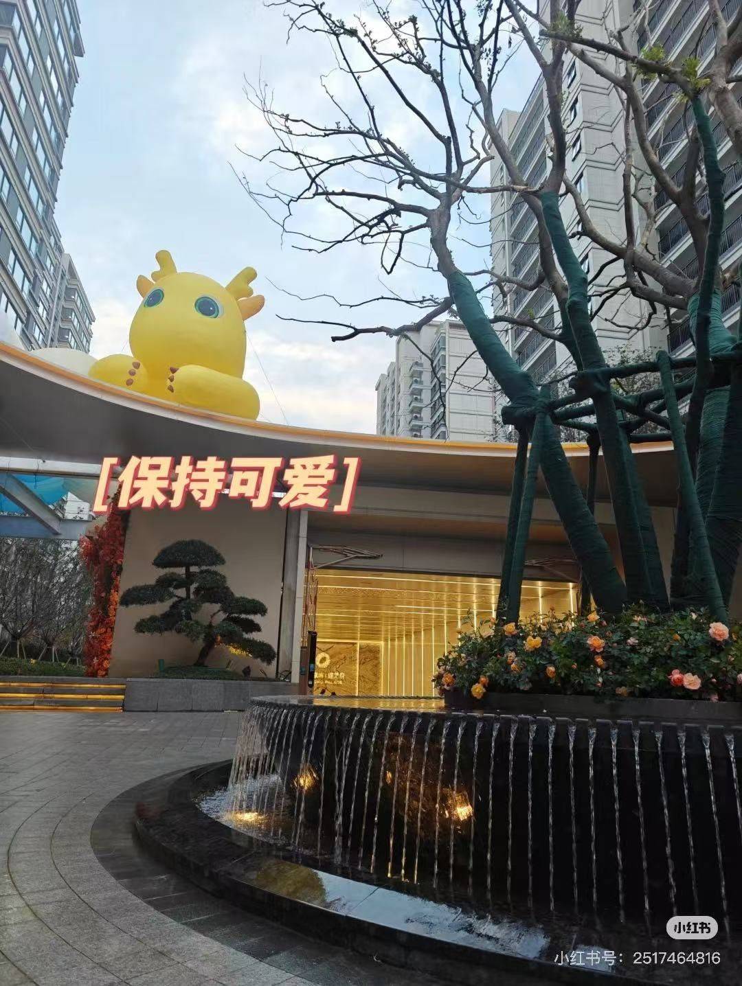 上海-青浦-温馨小窝,干净治愈,不限性别,市井烟火气,老友记,慢时光