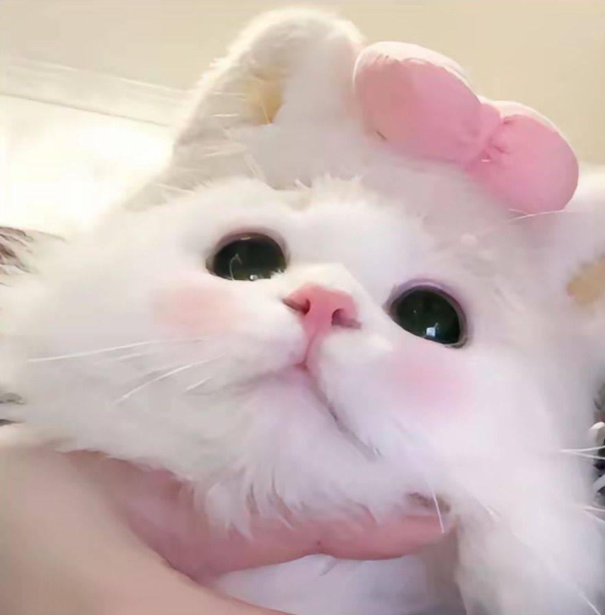 LIN