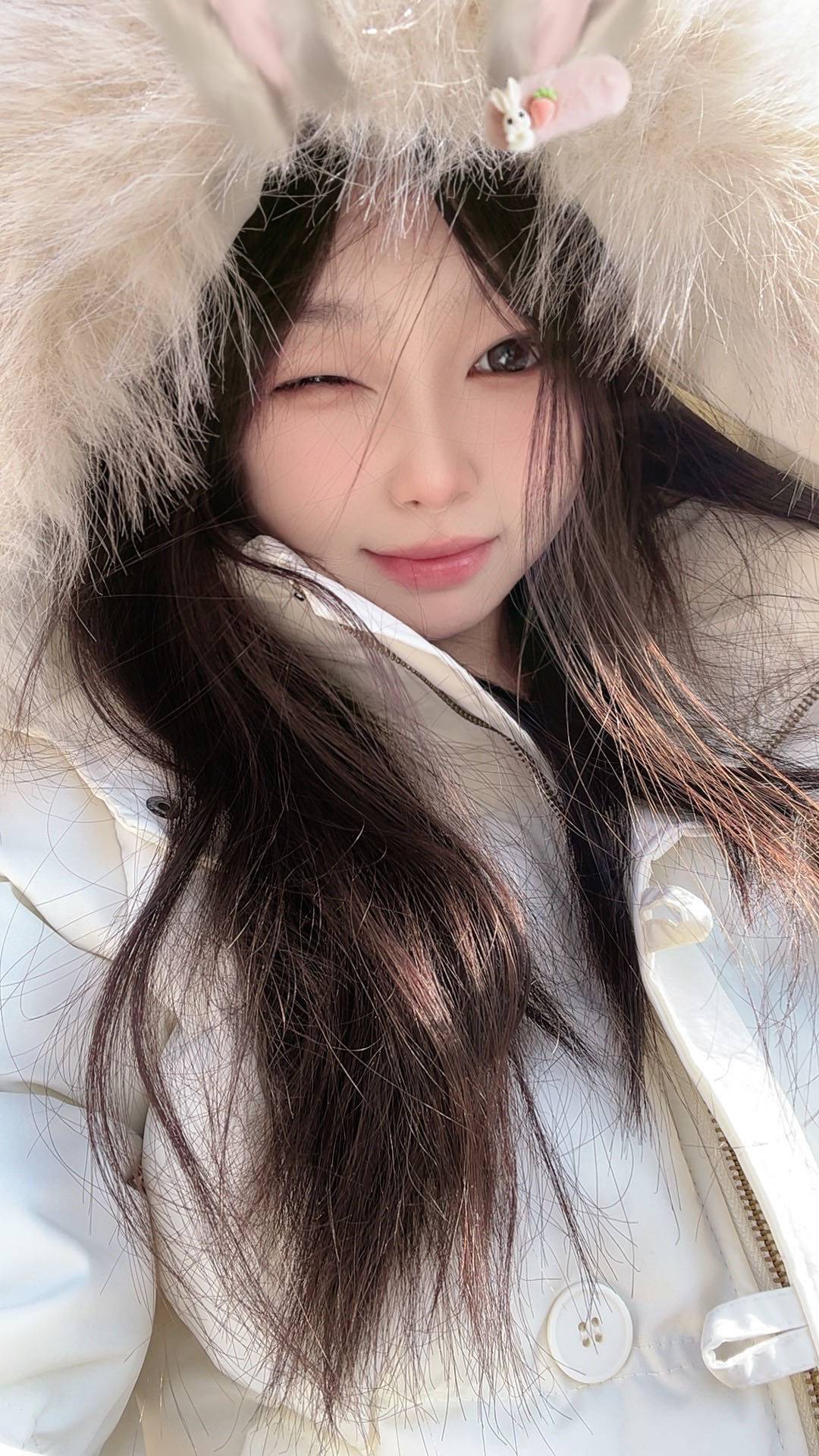悲伤板栗