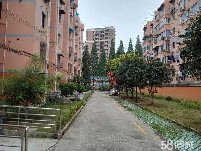 上海-浦東-溫馨小窩,LGBTQ友好