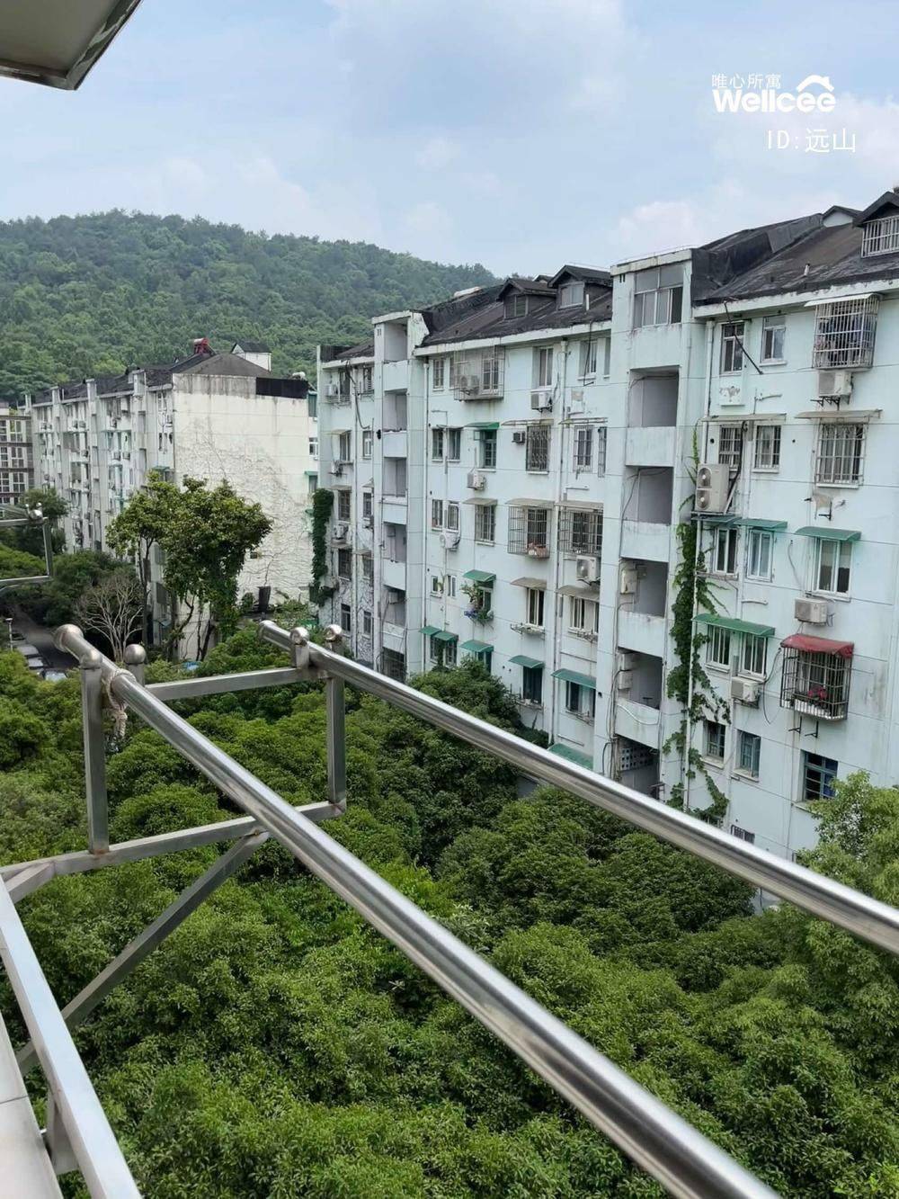 远山