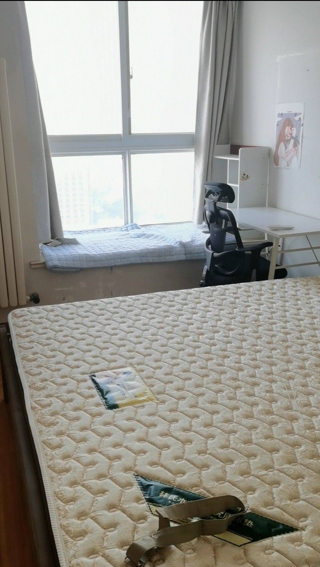 Zhengzhou-Jinshui-Cozy Home,Clean&Comfy,No Gender Limit